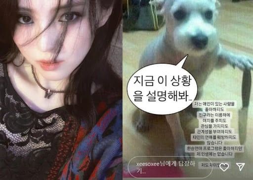 온라인 커뮤니티