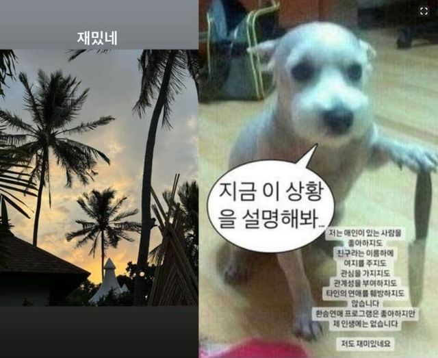 혜리 인스타그램/ 한소희 인스타그램