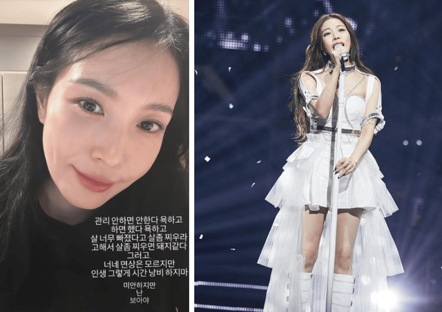 사진=보아 SNS
