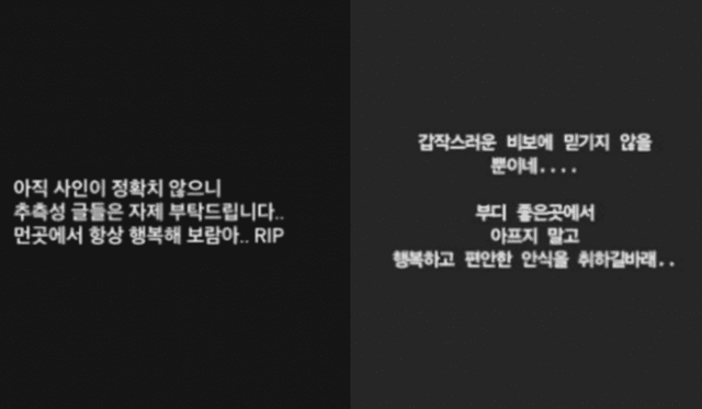 사진=이보람 SNS / 김그림 SNS