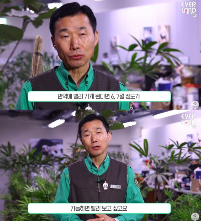 에버랜드 유튜브 채널