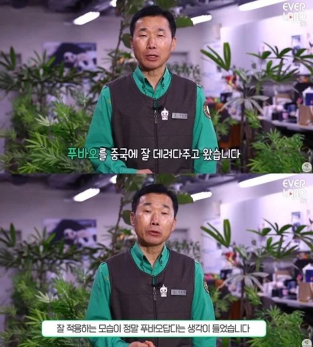 에버랜드 유튜브 채널