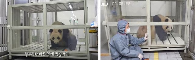 온라인 커뮤니티