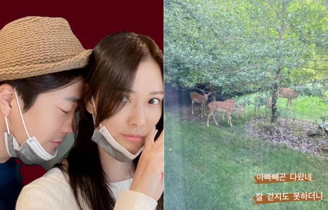 손태영 인스타그램