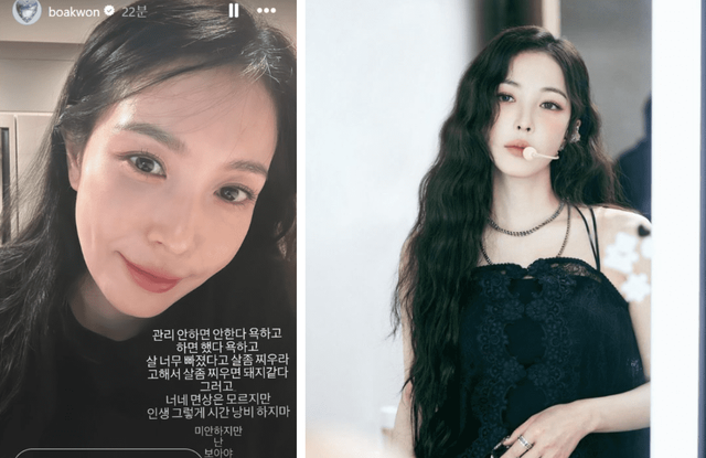 사진=보아 SNS