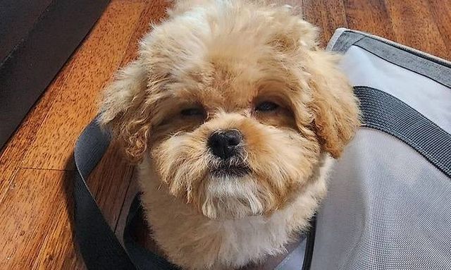 온라인 커뮤니티