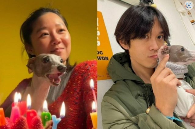 공효진 인스타그램