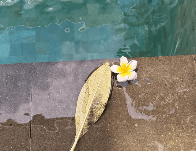 사진=이윤진 SNS