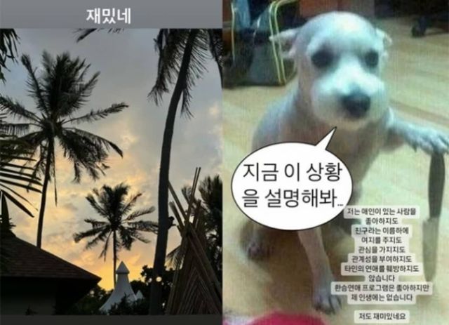 혜리-한소희 SNS