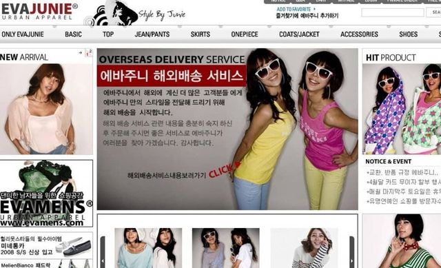 온라인 커뮤니티(에바주니 2008년 모습)