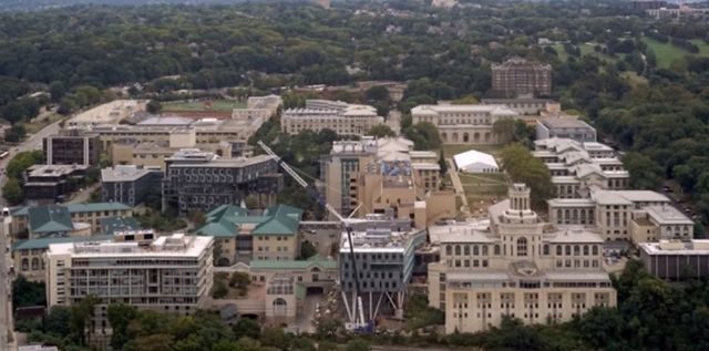 온라인 커뮤니티