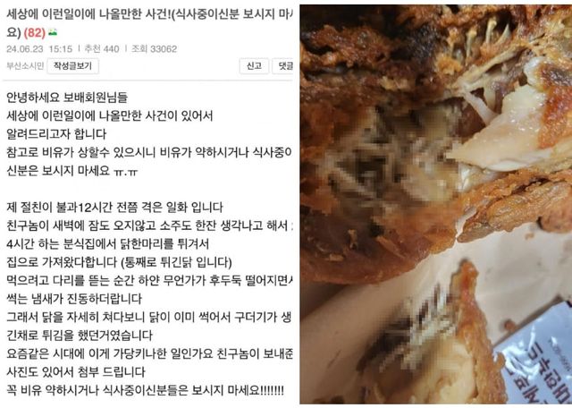 보배드림