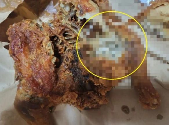 보배드림