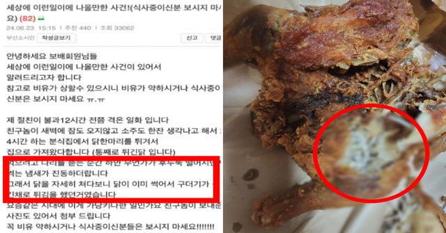 보배드림