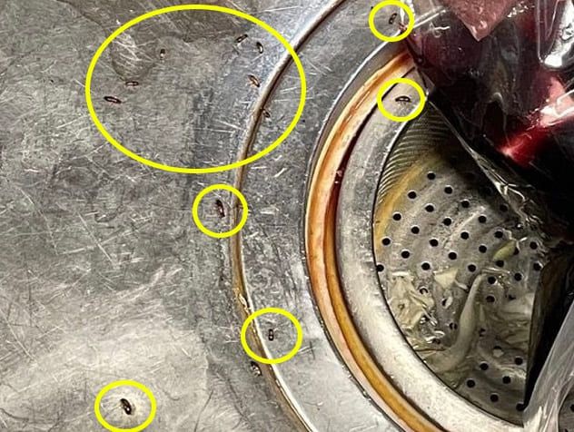 온라인 커뮤니티