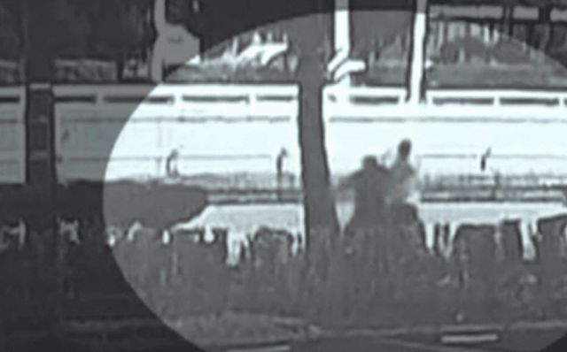 온라인 커뮤니티