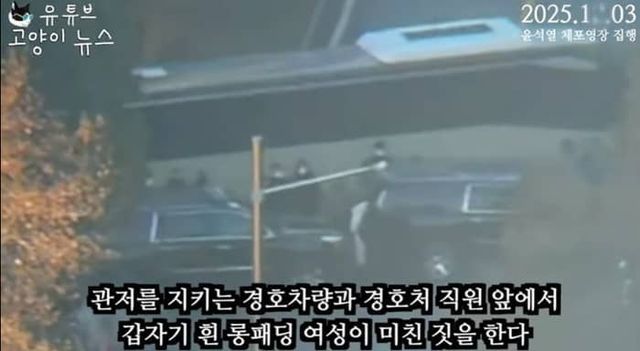 유튜브 채널 '고양이 뉴스'