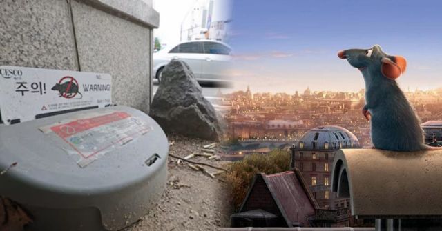 온라인 커뮤니티