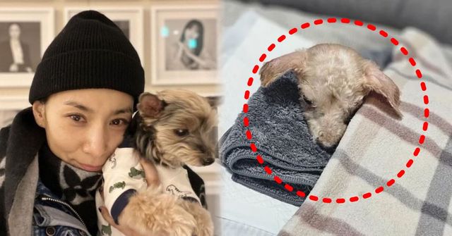 온라인 커뮤니티