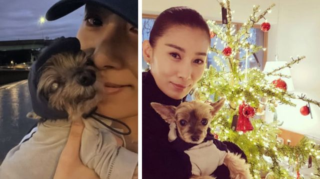 온라인 커뮤니티