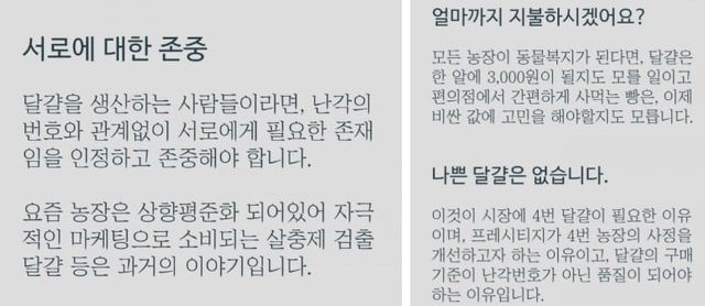 이경실 달걀 업체