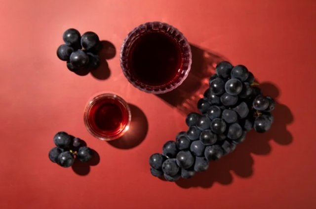 인터넷 커뮤니티