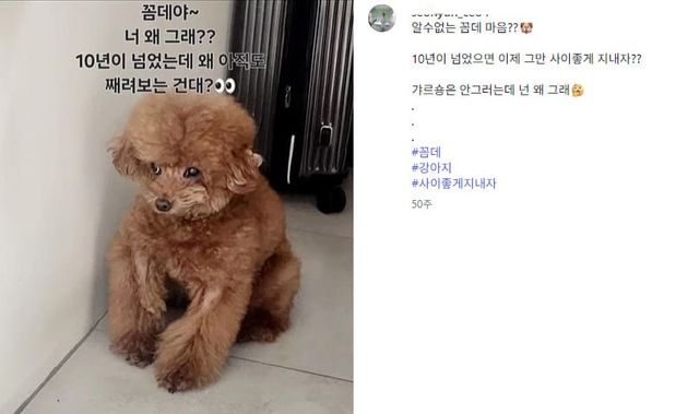 박나래 주사 이모 A씨 인스타