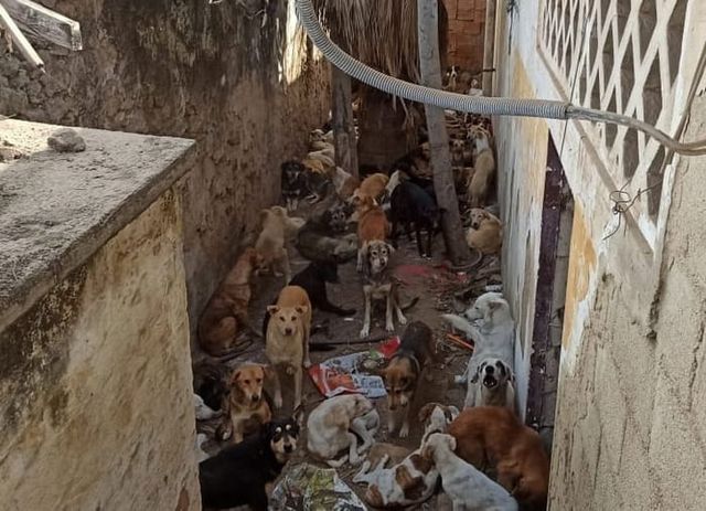 온라인 커뮤니티