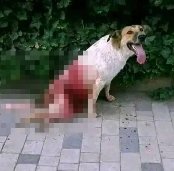 온라인 커뮤니티