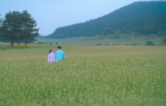 드라마 폭싹 속았수다