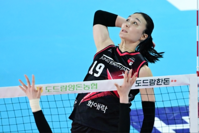 한국배구연맹&nbsp;