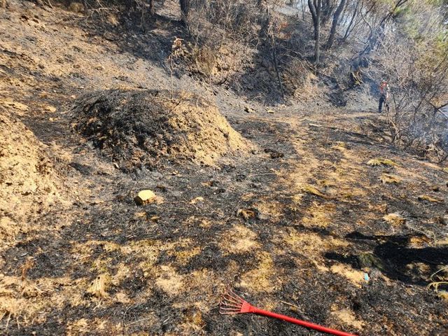 온라인 커뮤니티