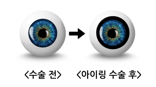 인터넷 커뮤니티