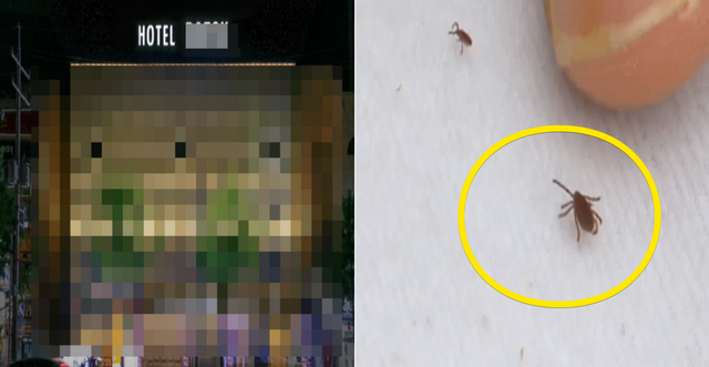 네이버 지도 / 인터넷 커뮤니티