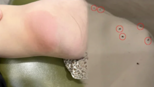 인터넷 커뮤니티