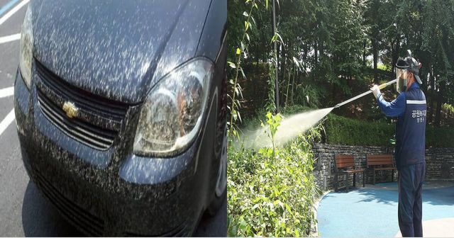 온라인 커뮤니티