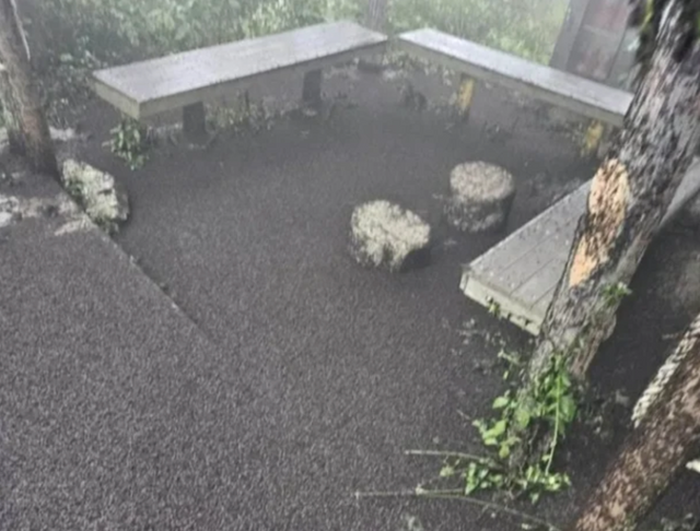 인터넷 커뮤니티