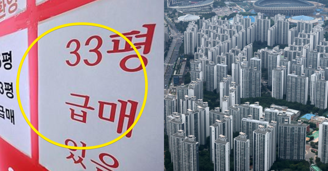 인터넷 커뮤니티 / SBS