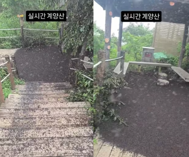 인터넷 커뮤니티