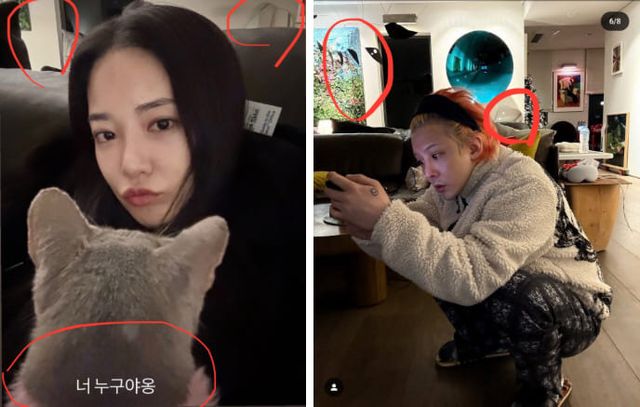 온라인 커뮤니티