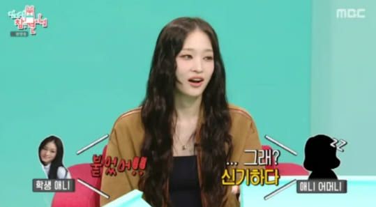  MBC '전지적 참견 시점'