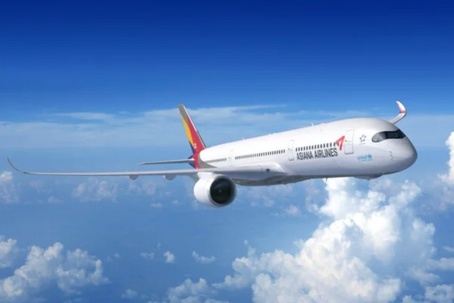 아시아나 항공
