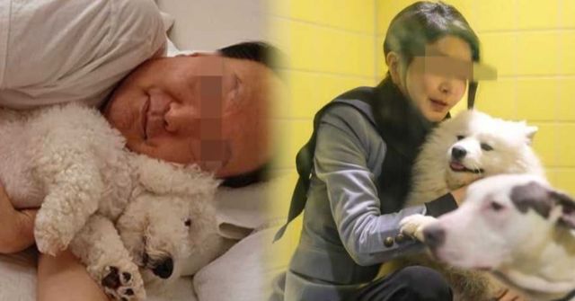 온라인 커뮤니티