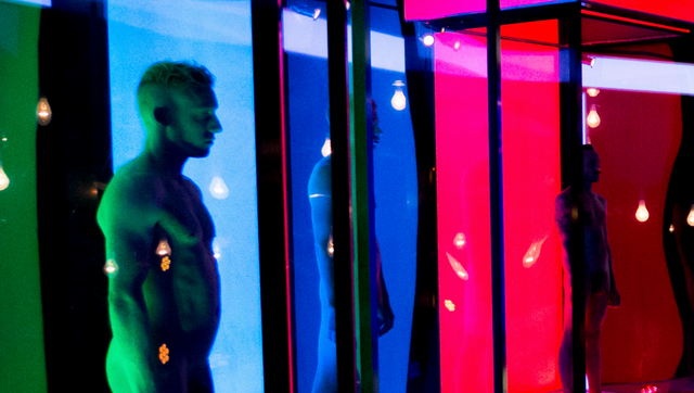 네이키드 어트랙션