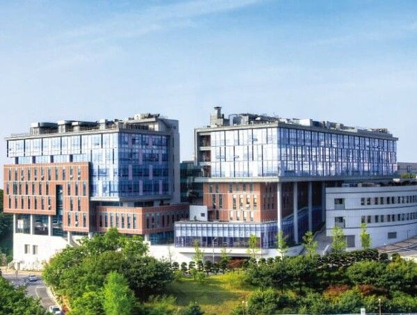 온라인 커뮤니티