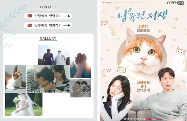 tvN 드라마 공식 소셜미디어