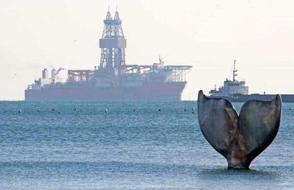 온라인 커뮤니티