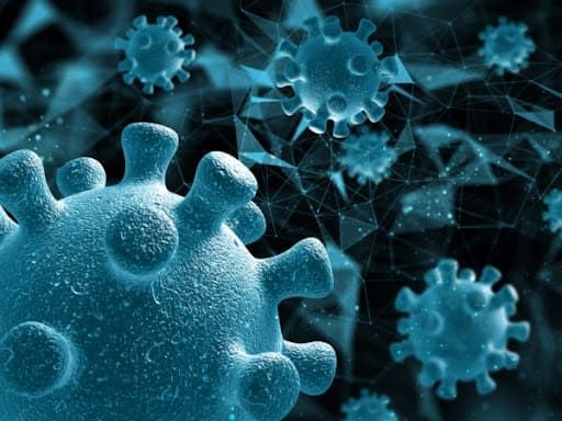 온라인 커뮤니티