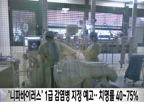 온라인 커뮤니티