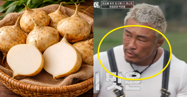 인터넷 커뮤니티 / tvN